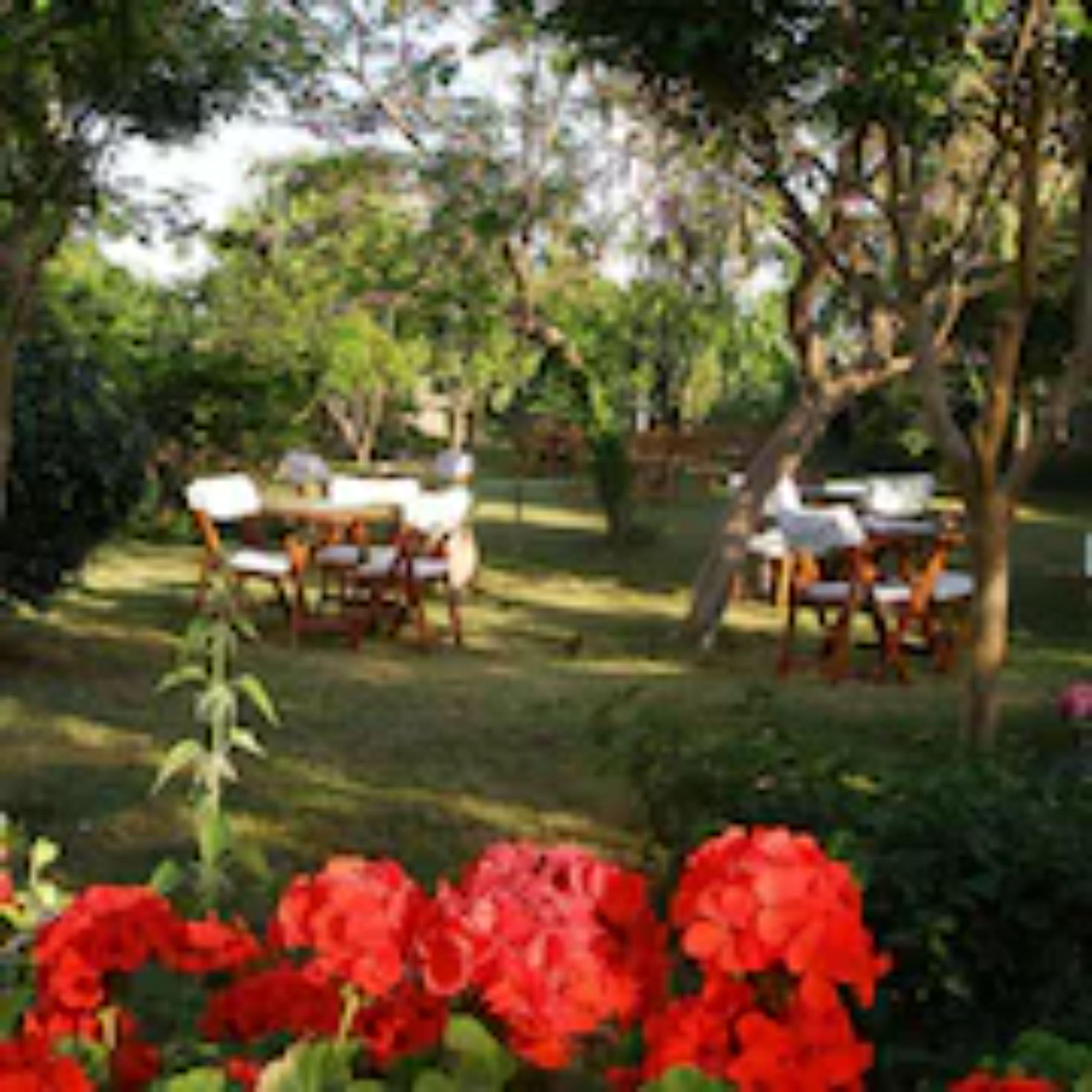 Sevkibey Hotel ألانيا المظهر الخارجي الصورة