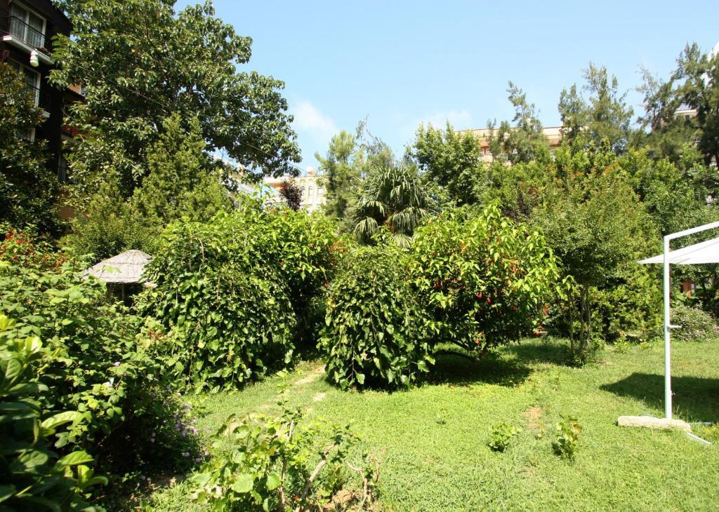 Sevkibey Hotel ألانيا المظهر الخارجي الصورة
