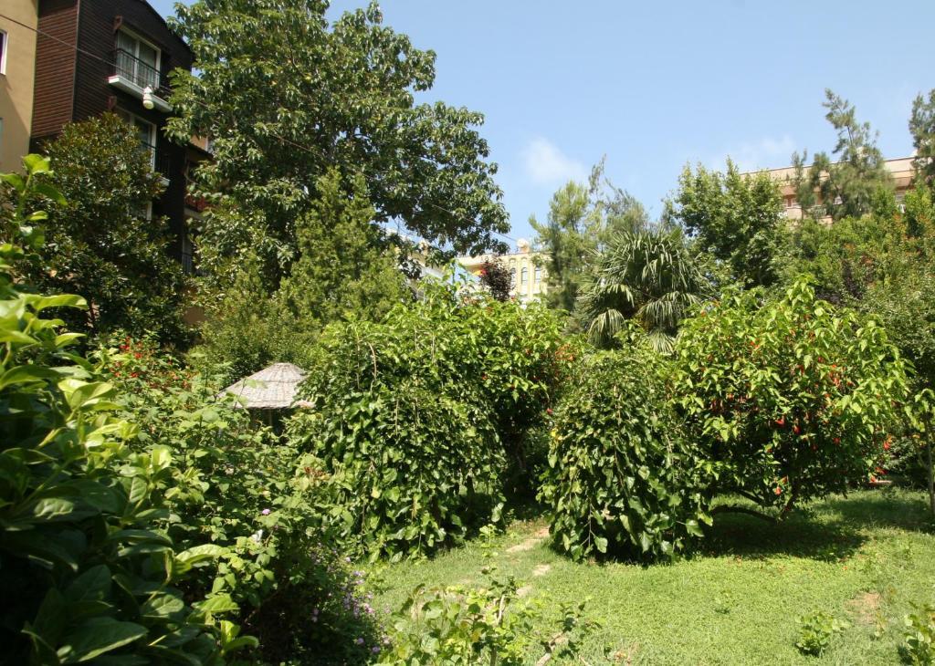 Sevkibey Hotel ألانيا المظهر الخارجي الصورة